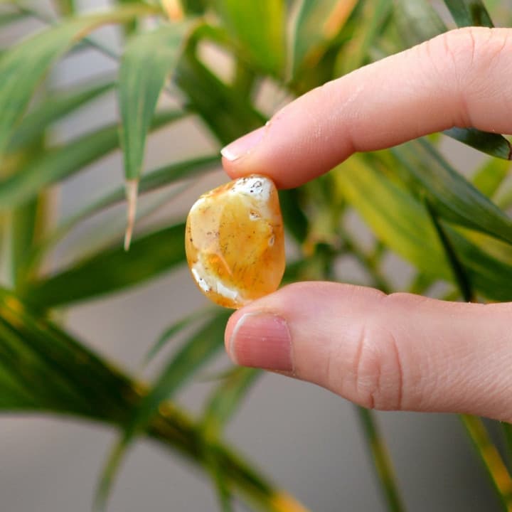 Küçük Boy Damla Kehribar Kütle