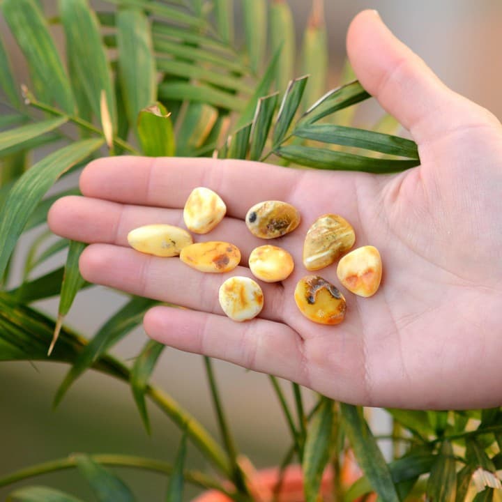 Küçük Boy Damla Kehribar Kütle